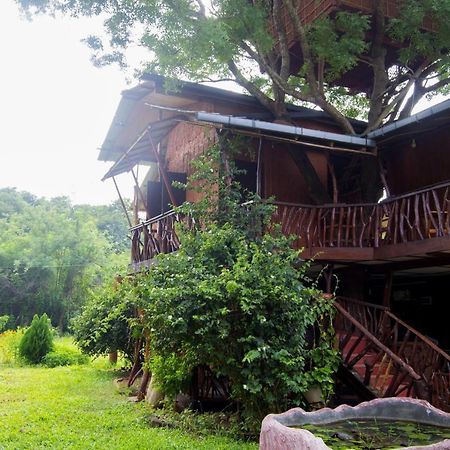 Anushka Nera Nature House Sigiriya Rum bild