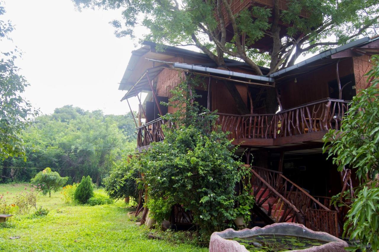 Anushka Nera Nature House Sigiriya Rum bild