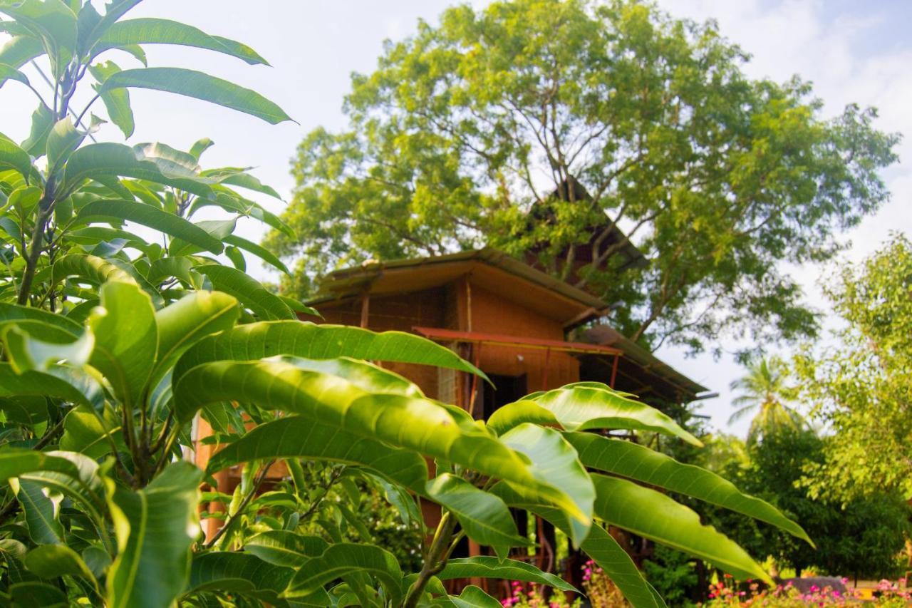 Anushka Nera Nature House Sigiriya Rum bild