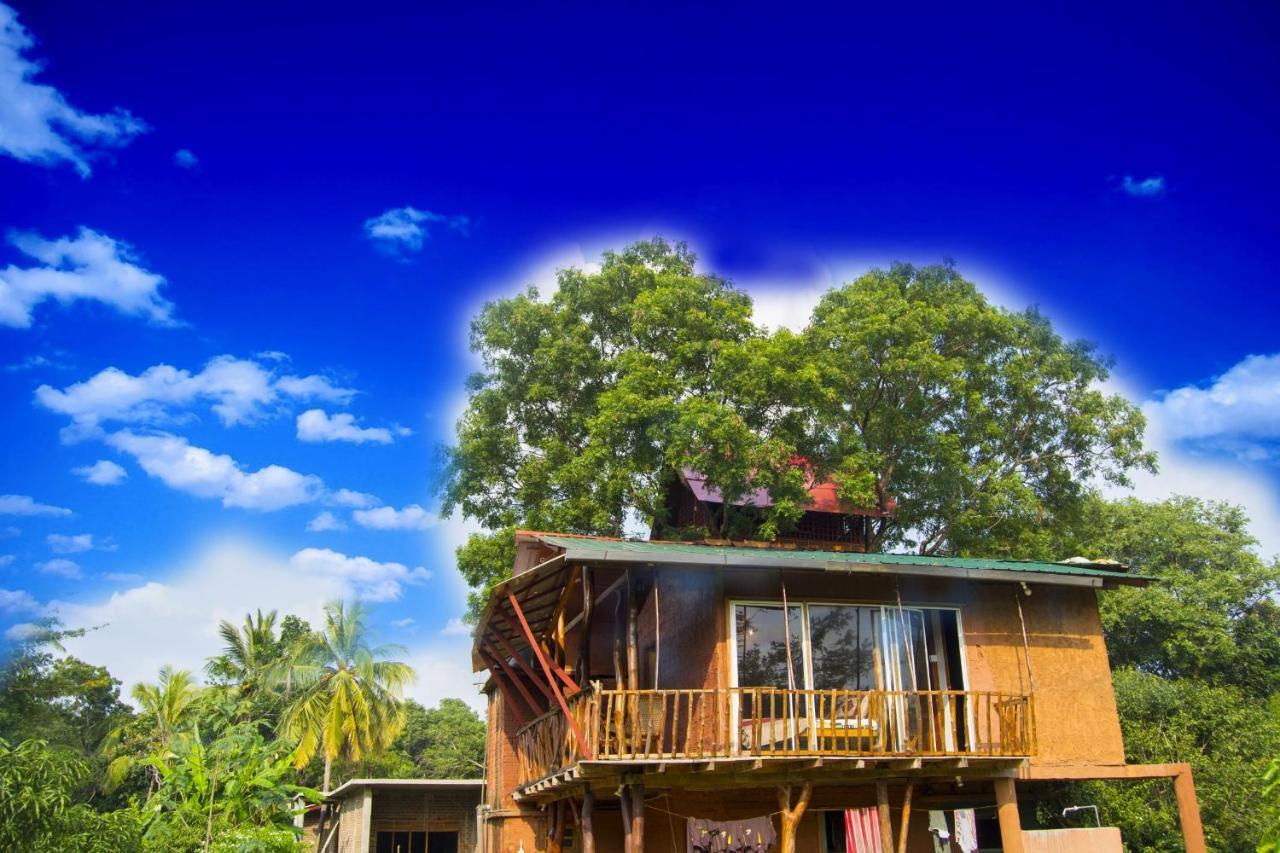 Anushka Nera Nature House Sigiriya Rum bild